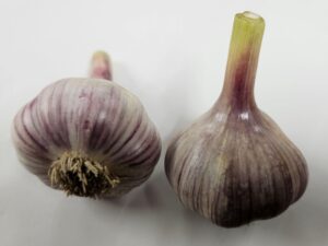 Pehoski Garlic